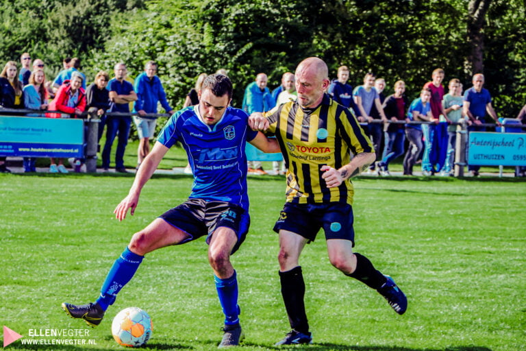 Heracliden Actiefoto, foto Ellen Vegter